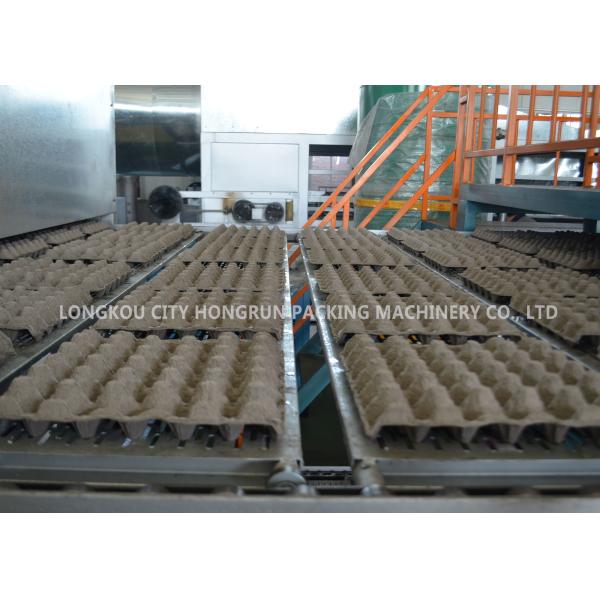 Quality Raw Material Waste Paper Egg Tray Production Line Fruit Tray Making Machine wholesale