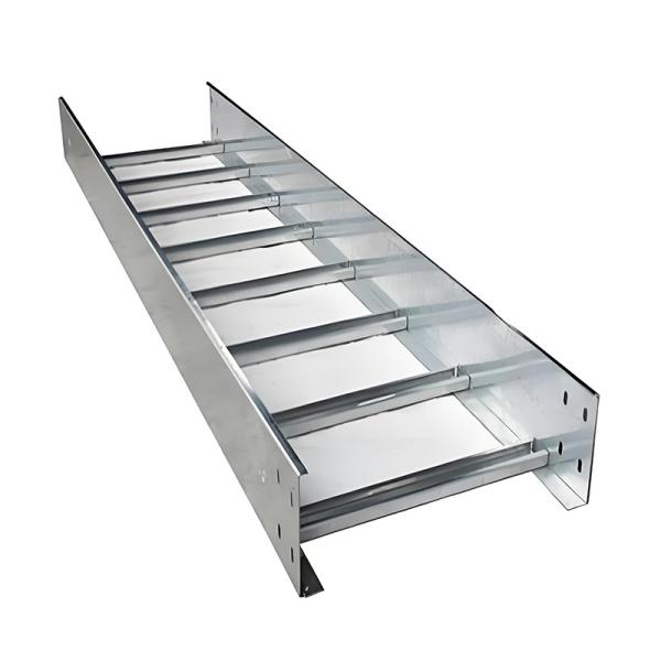 Galvanized Finish Ladder Type Cable Tray with Up To 500kg Load Capacity 100mm