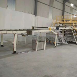 High Speed PP PE ABS Sheet Production Line with SJ90 and Plastic Processed PP