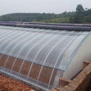 Arched Roof Greenhouse The Ultimate Sunlight Solution for Tomato and Cucumber