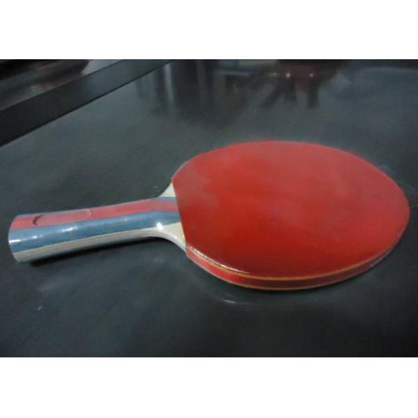 Quality High Speed Custom Table Tennis Bats , Good Ping Pong Paddles With Protective Edge Banding wholesale