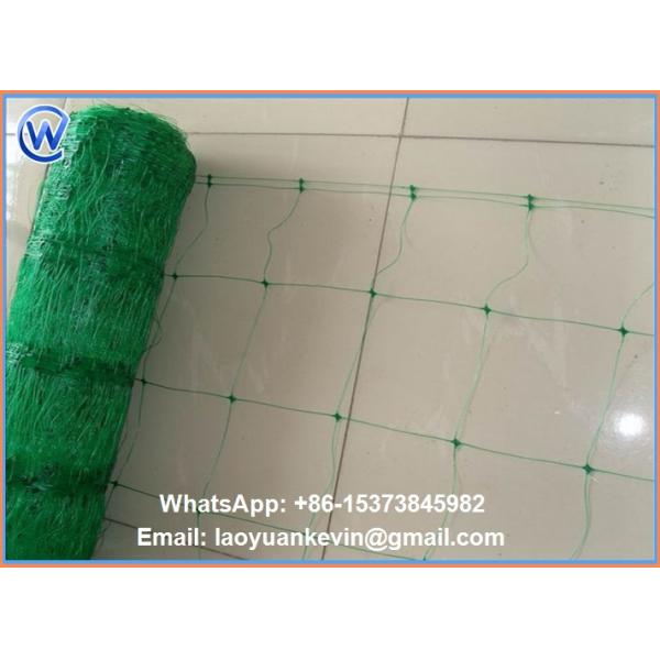 Hot Selling Hdpe With Uv 15x15cm Mesh Green Plant Support Net Plant Climbing Net