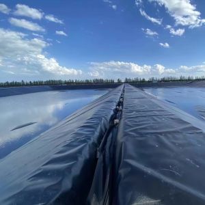 Blue HDPE Geomembrane Sheet for Fish Pond 0.1mm 3mm and Onsite Installation