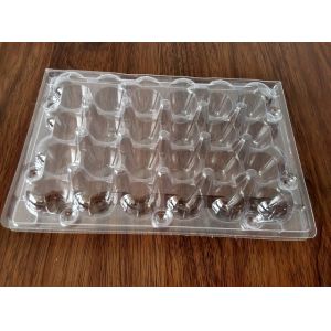 clamshell kiwi packing  folding boxes