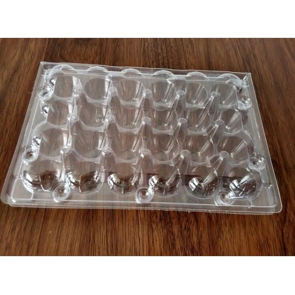 Quality clamshell kiwi packing  folding boxes wholesale