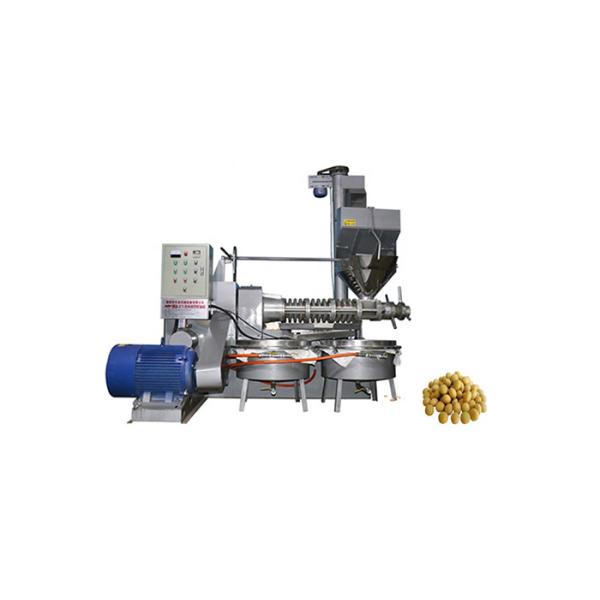 Quality Edible Screw Oil Press Machine 2.2kw Power 60 - 100 R/Min Squeezer Speed wholesale