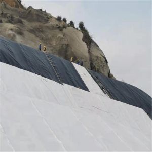 2mm HDPE Geomembrane Landfill Liner for Environmental Protection and Sustainabil