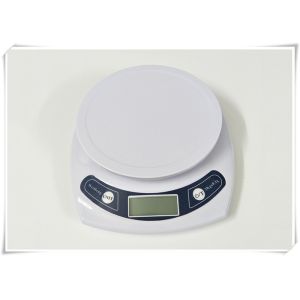 ABS Engineering Plastic High Precision Kitchen Scale For Personal Use