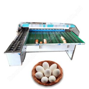 Stainless Steel Egg Sorting And Grading Machine Automatic Egg Sorter Egg Sorting