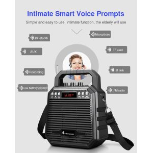 Wireless Bluetooth Speaker Echo Recorder Portable Trolley Speaker UHF 2.4Ghz