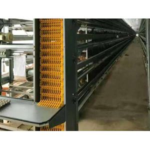 Detachable Steel Frame Chicken Coop Pre-Engineered With Different Dimension