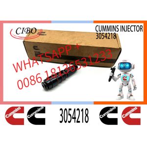 Diesel Engine Fuel Injector Assembly 3054218 3054253 4914325 for Cum-mins NT855