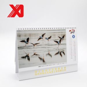 2019-2020 Desk Wall Calendar Beautiful Scenery Picture Design For Gift