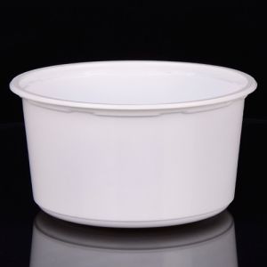 Snack Disposable Food Containers Restaurant Disposable Plastic Square Customized