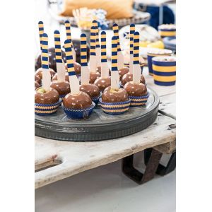 Biodegradable Disposable Ebra Pattern Candy Strip Dyeing Wooden Cutlery For