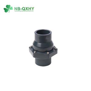 Pn10 200psi PVC Wafer Check Valve with Customized Request Option