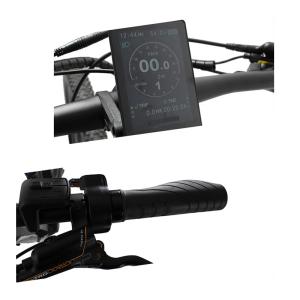 Electric Bicycle Crucero with 6061 Aluminium Alloy Frame and F R Hydrualic Disc