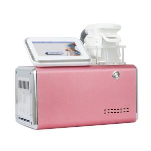LF-253 Portable one big cryo handle Cryolipolysis Fat Dissolving Machine With CE