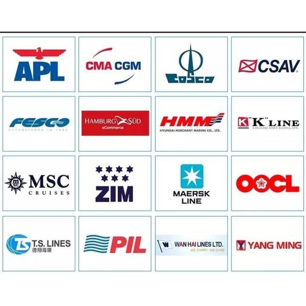 CIF DDU Top 10 Freight Forwarding Companies Agent DDP Shipping From China To USA