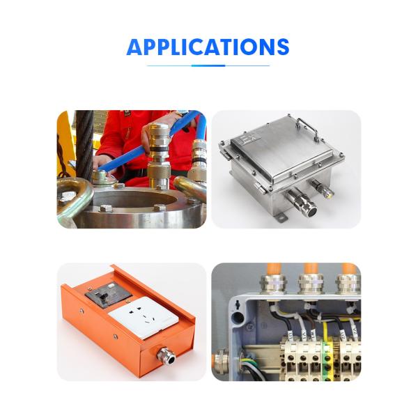 P68 Outdoor SS 304 Cable Gland GlPG Type Metric Size NPT Thread Waterproof