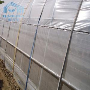 Hydroponic System Tunnel Plastic Greenhouse with Ventilation Insect Net