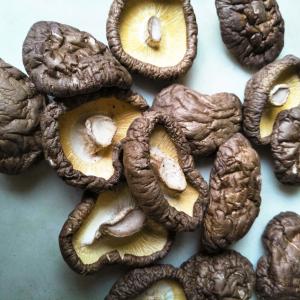 China Premium Dried Shiitake Mushrooms Healthy Nutritious Delicious on sale
