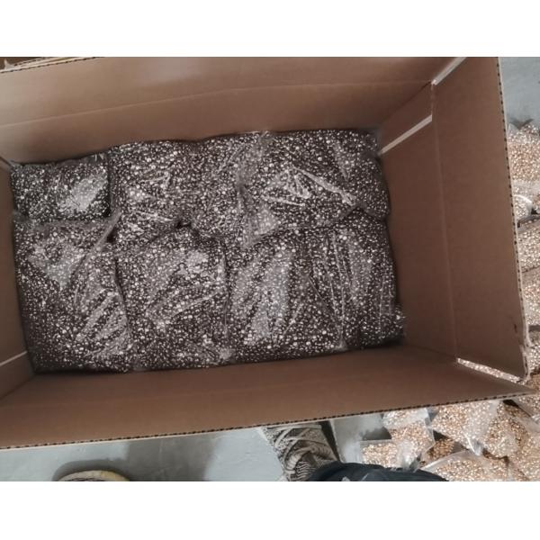 new fashion high quality Metal Stars Belt double 8/6/5mm mushroom cap rivet