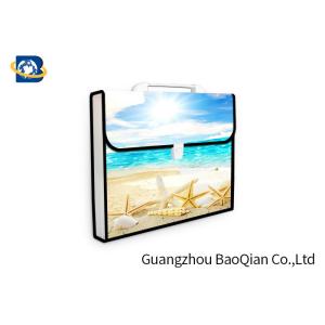3D Lenticular Picture Expanding File Folders , Presentation Folder Printing