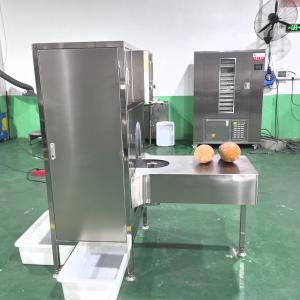 Cheap Efficient Output Quality Assurance Convenient And Practical Large Pumpkin Peeler for sale