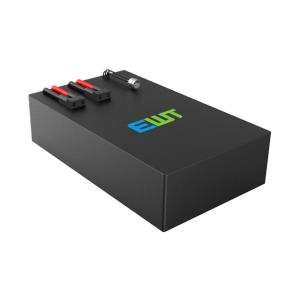 custom Deep Cycle 12V Lithium Iron Phosphate Battery Storage System