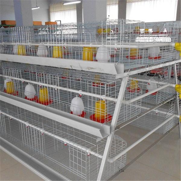 Quality 3 Tiers HDG Chick Brooder Cage With Manual Feeding System wholesale