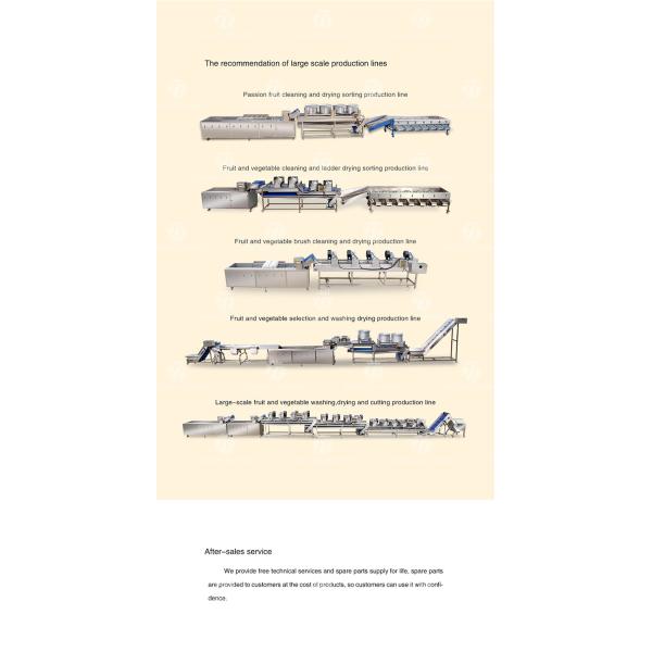 350KG Vegetable drain air drying machine stainless steel fruit and vegetable air drying complete equipment parallel type