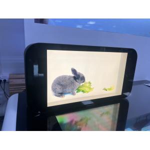 Indoor 3D Transparent LCD Screen