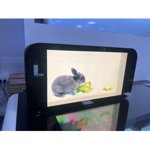 Quality Indoor 3D Transparent LCD Screen wholesale