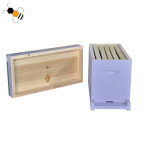 Cheap Bee Hive Equipment Painted 20mm Raising Queens Langstroth Nuc Box for sale