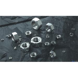 Thread Galvanized Lock Nuts , Hexagon Head Metal Lock Nut Anti Loosening