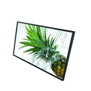 IPS TFT Wall Mounted Lcd Display 65 Inch Interactive Touch Screen Advertising