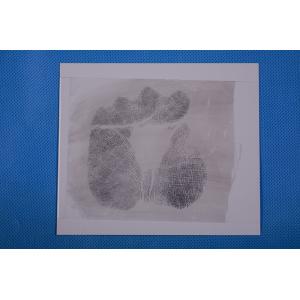 C163 White high gloss Palm print backing sheet