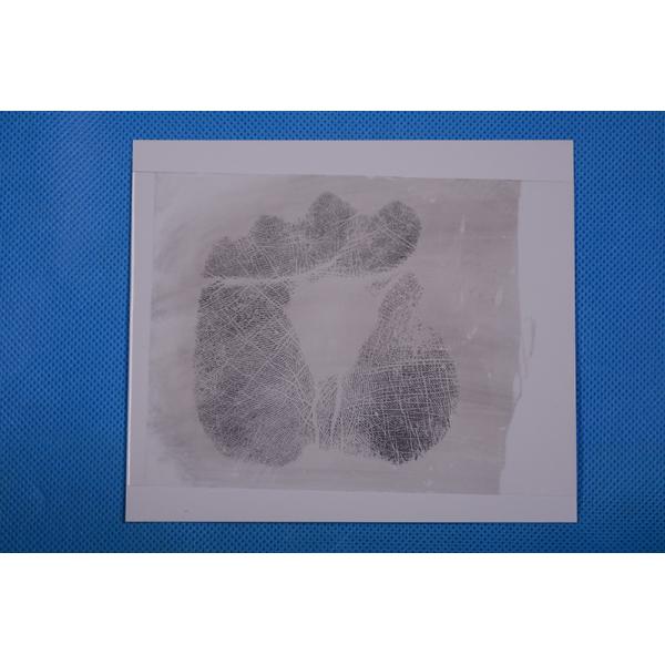 C163 White high gloss Palm print backing sheet