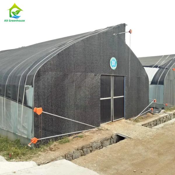 Quality Sawtooth single-span film shade net blackout greenhouse for growing mushrooms wholesale