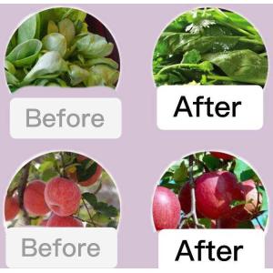 Organic Soil Conditioner Fertilizer Microbial Fermentation Fertilizer