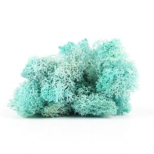 Eternal Multiple Colors Preserved Reindeer Moss For Wall Decoration