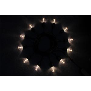 24ft LED Outdoor Weatherproof led string lights Vintage Edison Remote Control