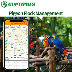 Parrot GPS Monitoring Device Precise Positioning For Pet Birds Real Time