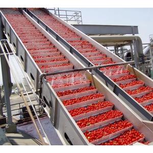 SUS304 Stainless Steel Tomato Processing Line with 1 Year Warranty and