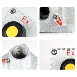 Cheap ATEX Explosion Proof Control Button with Signal Light WF1 Grade for sale