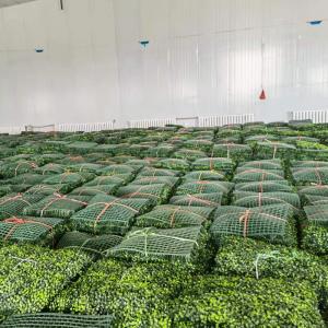 45mm Office Artificial Grass Walls , 20mm Artificial Lawn Wall