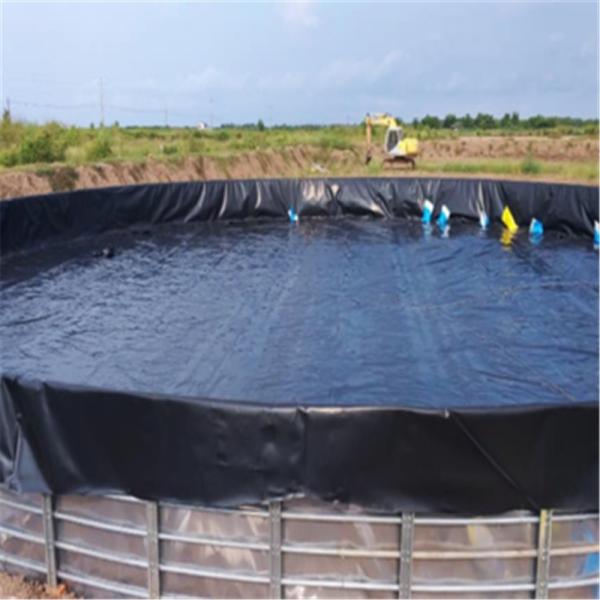 0.5mm HDPE Geomembranes The Perfect Solution for Waterproofing Fish Shrimp Pond