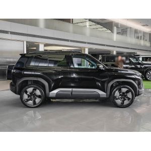 Popular Used Cars 2025 Fang Cheng Bao Compact SUV with 501km Range and 310kW