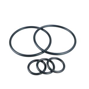 High Precision High Temperature O Ring Fpm Ffkm Odm Custom